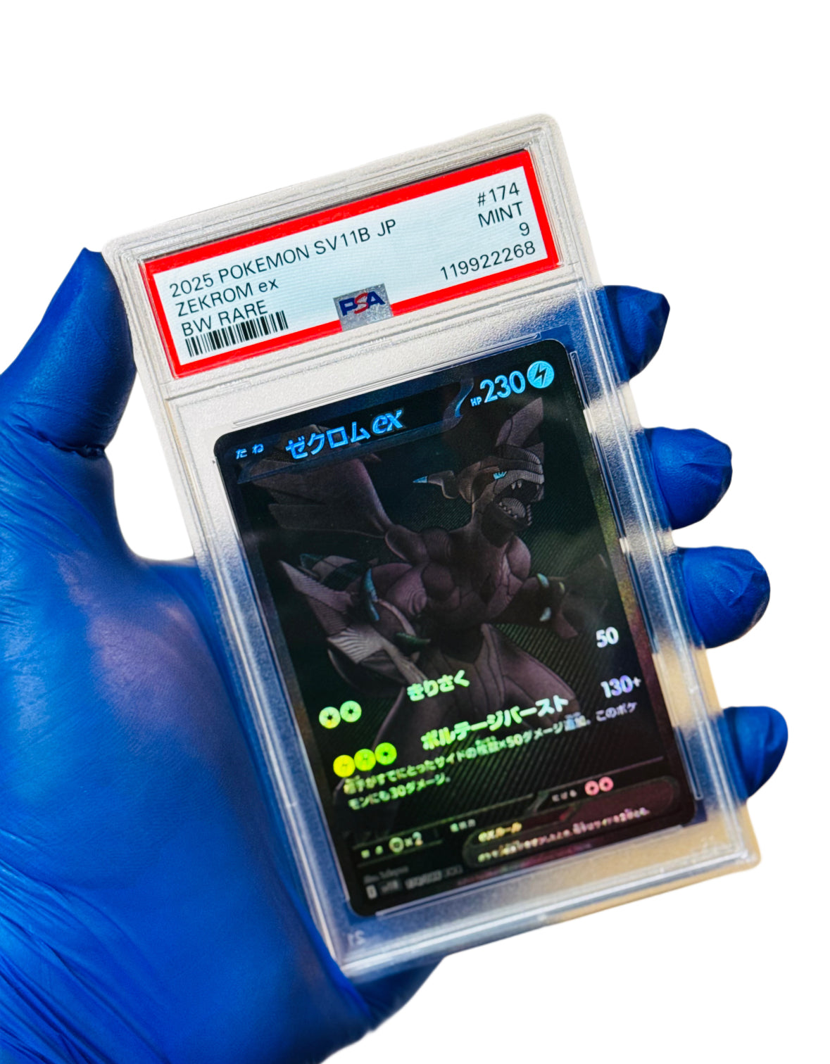 早川工房BLUE IMPACT /Jump #Black /BLUE 2022 Ninja-Jump-Backyard-Combo−Module−Tropical Blue Crush-BB2251
