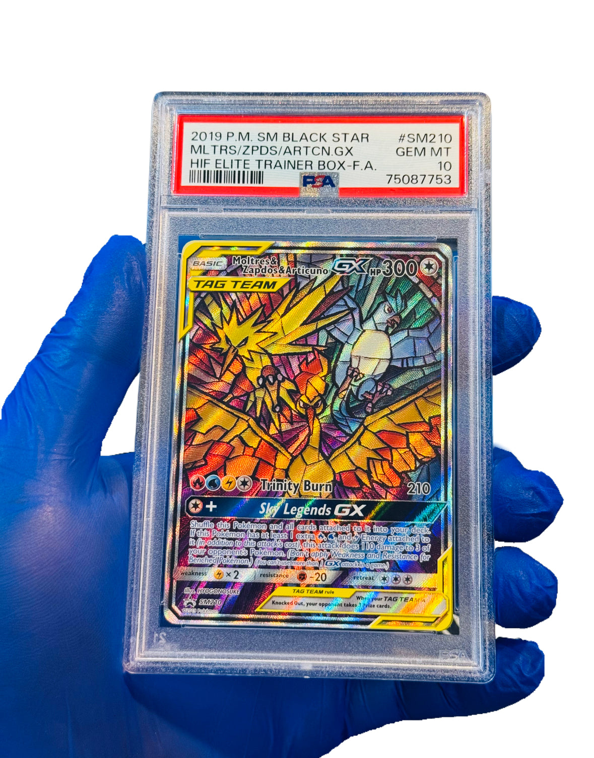 psa10 ウィングイーグル booster 5 世界で1枚 psa10 ウィングイーグル booster 5 世界で1枚 psa10 ウィング