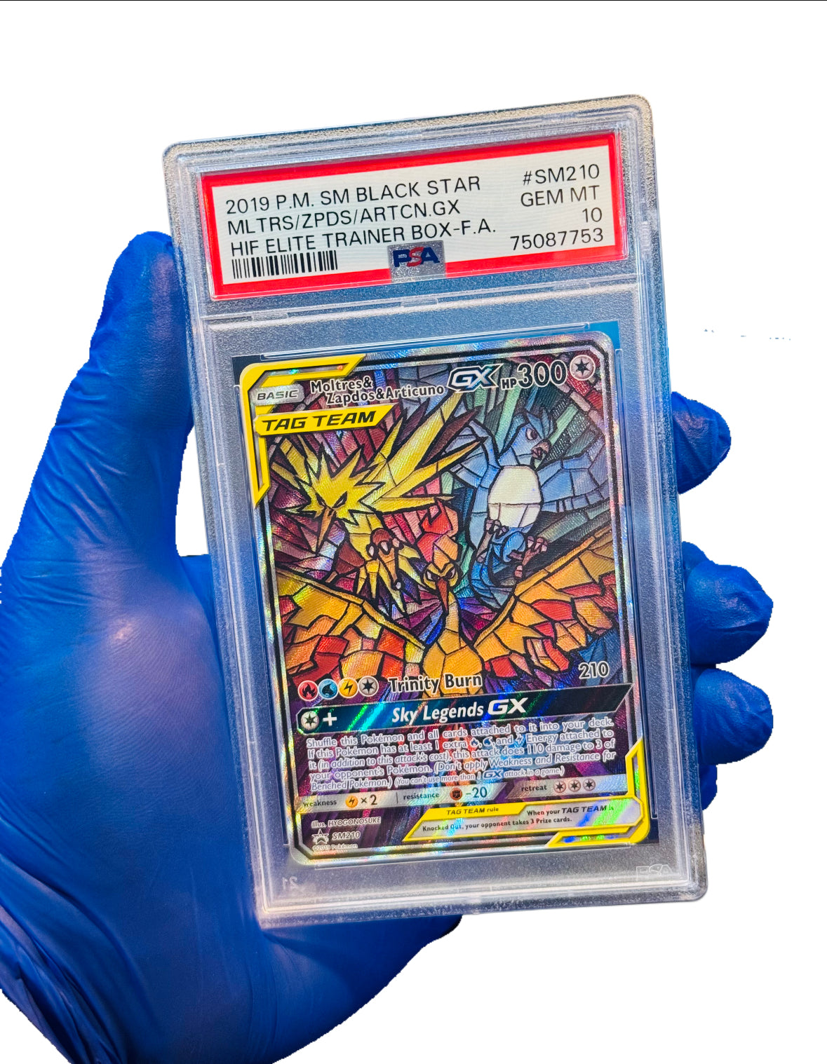 PSA – BlueGloveTCG