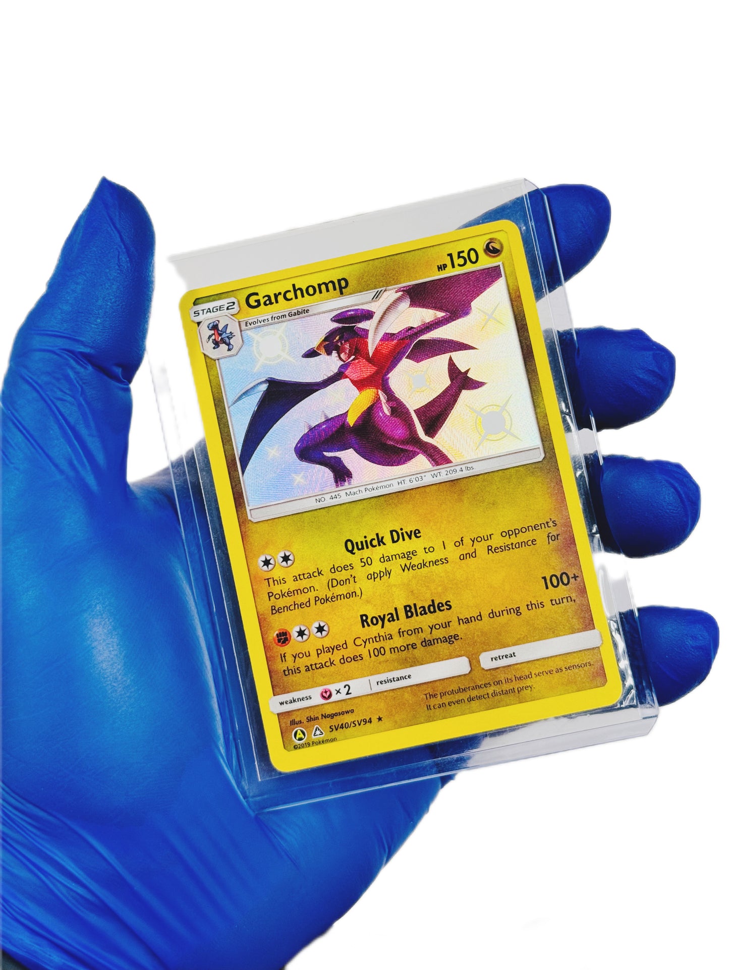 Garchomp “Baby Shiny”